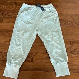 FREE PEOPLE cropped jogger, perfect condition, side small